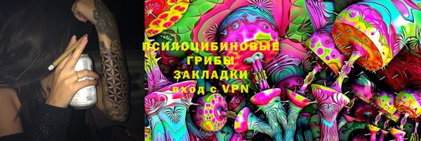 соль курить ск Заводоуковск