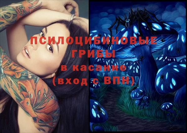 соль курить ск Заводоуковск